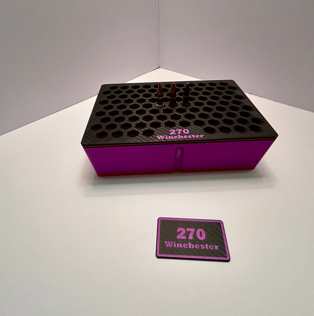 270 Winchester Ammo Insert & Case